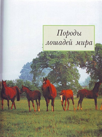 Книга Породы лошадей • Дрейпер Джудит – купить книгу по низкой цене, читатьотзывы в Book24.ru • АСТ • ISBN 978-5-17-063359-3, p550113