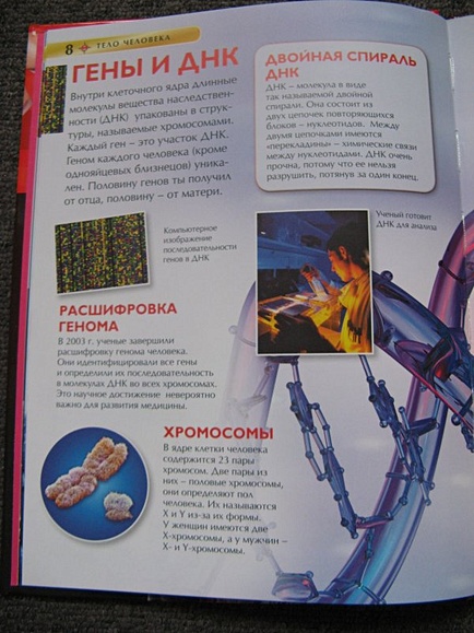 Детские энциклопедии обо всем: купить большую энциклопедию для детей в интернет-магазине — paraskevat.ru