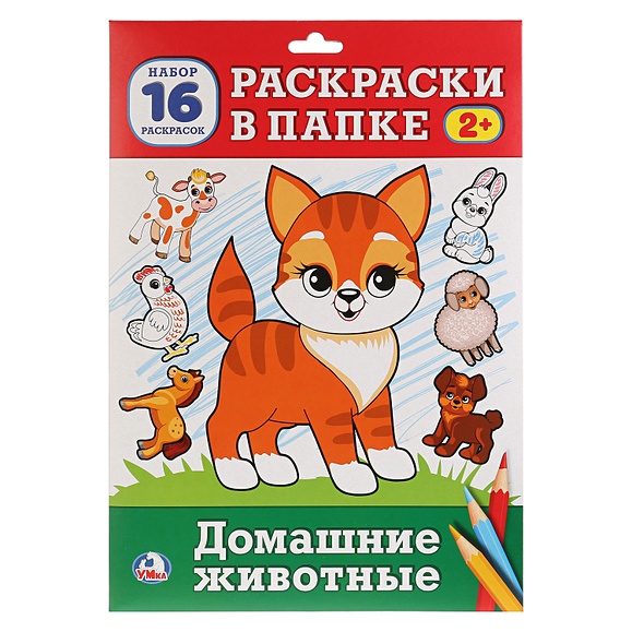 Раскраска животные кошка. Раскраски кошки кошка, раскраски для детей, домашние животные