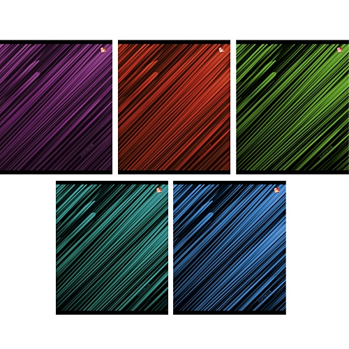 Яркие штрихи 48 л., 5 видов ТЕТРАДИ А5 (*скрепка) 48Л. Обложка: ламинирование - фото 1