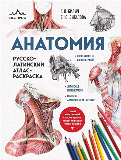 Анатомия: русско-латинский атлас-раскраска (новое оформление, новый формат) - фото 1
