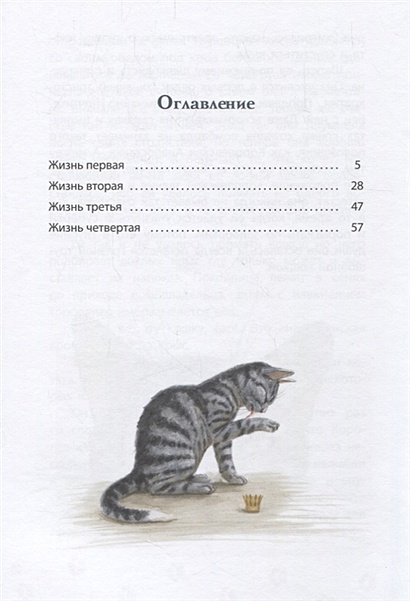 Королевская аналостанка читать краткое. Сетон Томпсон Королевская Аналостанка. Книга Сетон-Томпсон Королевская Аналостанка. Королевская Аналостанка книга. Сетон-Томпсон Королевская кошка книга.