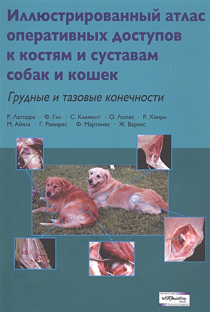 Иллюстрированный атлас оперативных доступов к костям и суставам собак и кошек. Грудные и тазовые конечности - фото 1