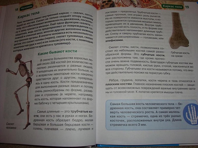 Человек - фото 7