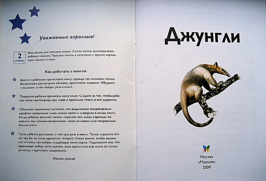 Джунгли - фото 2