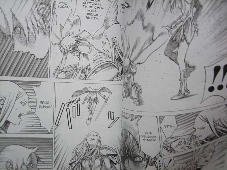 Клеймор. Книга 5. Воительницы - фото 10