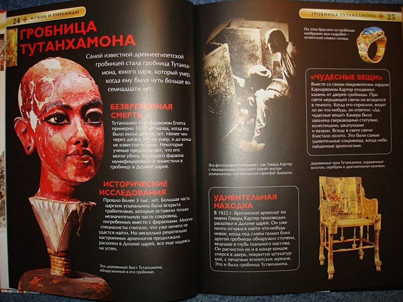 Мумии и пирамиды. - фото 13