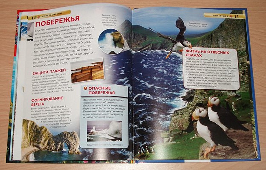 Моря и океаны - фото 9