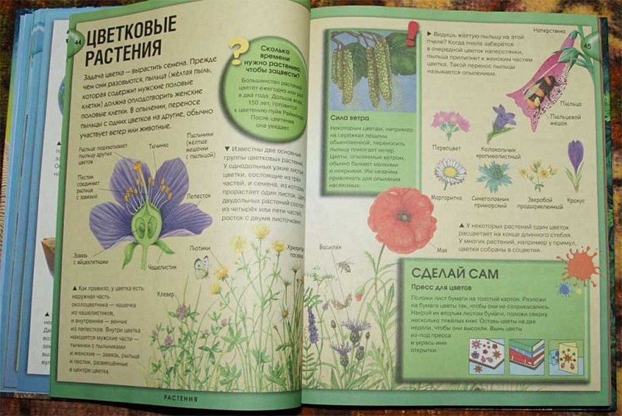 Энциклопедия необходимых знаний - фото 9