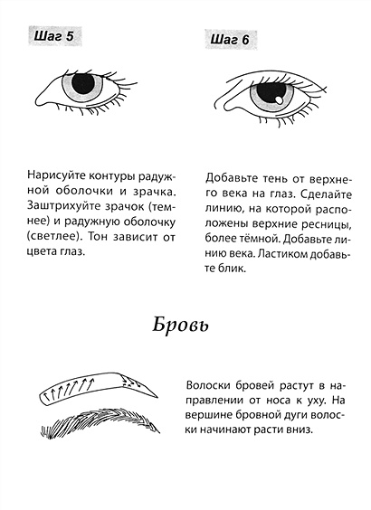 Скетчбук А5 Уроки рисования по шагам. Анатомия человека • , купить по ...