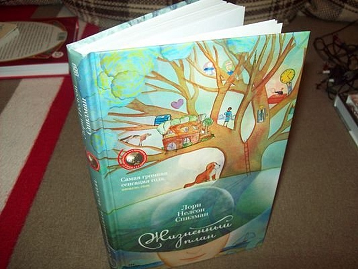 Жизненый план - фото 9