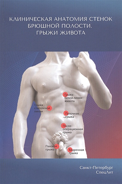 Клиническая анатомия стенок брюшной полости. Грыжи живота - фото 1
