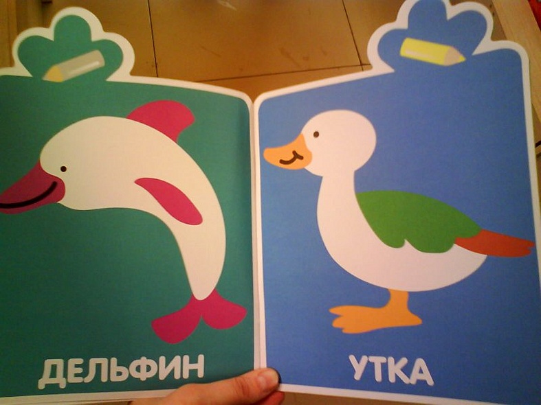 Курочка - фото 7