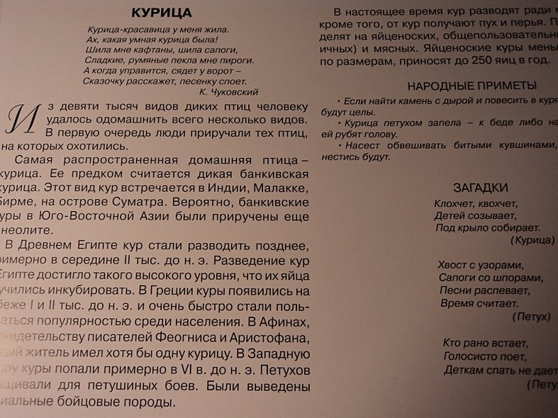 Расскажите детям о домашних животных. Карточки для занятий в детском саду и дома. - фото 3