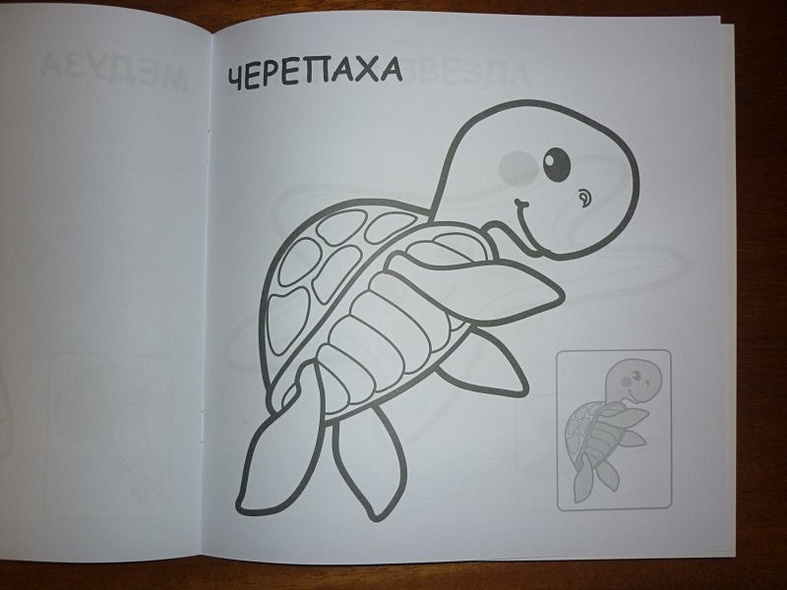 В океане - фото 13