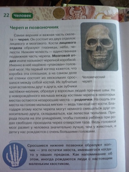 Человек - фото 9