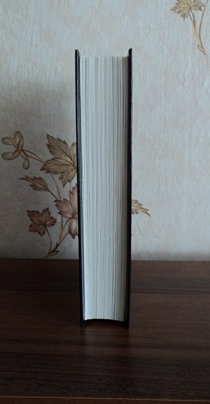 Цвет волшебства : фантастический роман - фото 8