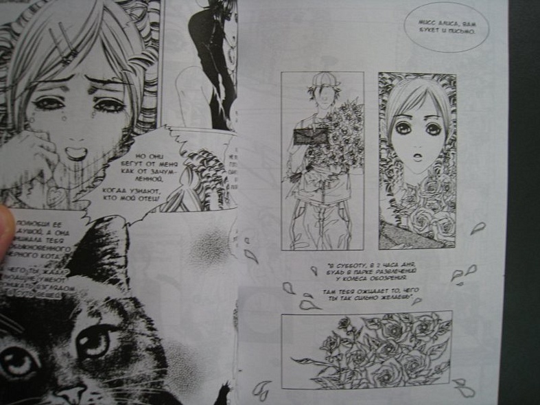 Кафе Таро. Том 1 (The Tarot Cafe). Манхва - фото 9