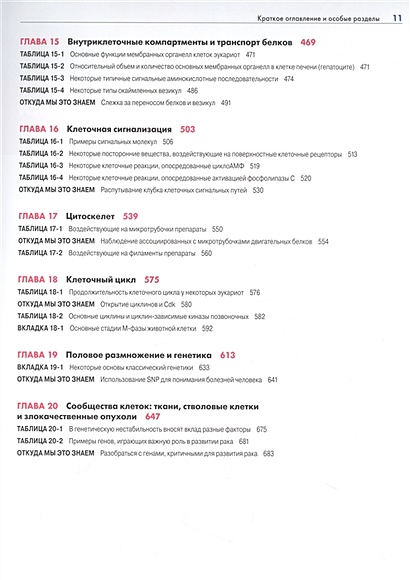 Основы молекулярной биологии клетки • Альбертс Б. и др., купить по ...