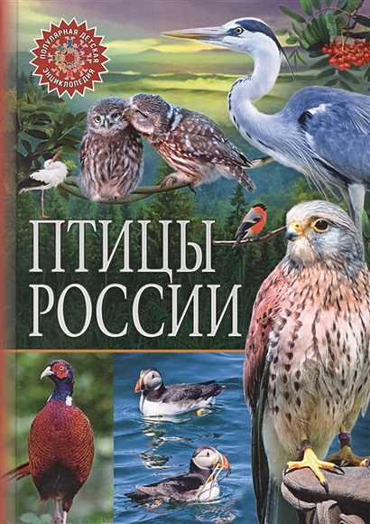 Птицы России. Популярная детская энциклопедия - фото 1