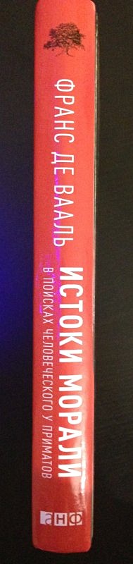 Истоки морали: В поисках человеческого у приматов - фото 3