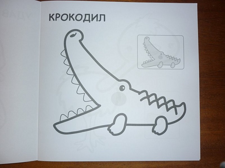 В Африке - фото 4