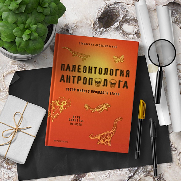 Палеонтология в картинках книга