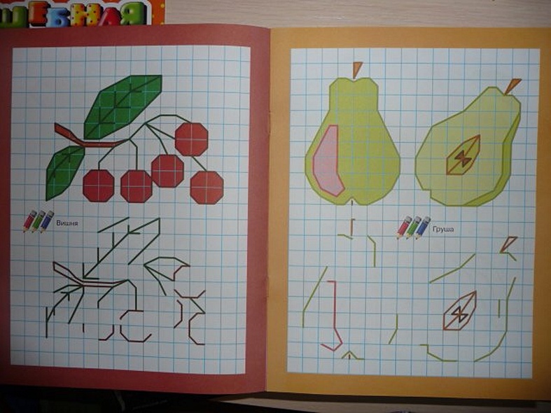 Рисуем по клеточкам. Что растет на огороде - фото 3