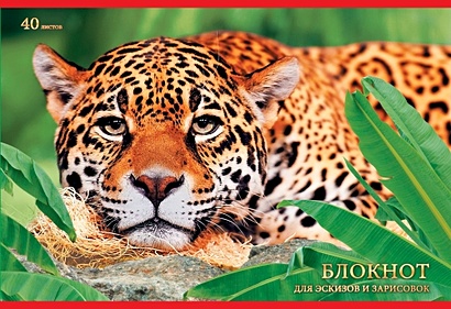 Леопард в джунглях АЛЬБОМЫ ДЛЯ РИСОВАНИЯ (*скрепка). 40 листов - фото 1