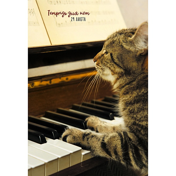 Кот пианист ТЕТРАДИ ДЛЯ НОТ (*скрепка). 24 листа - фото 1