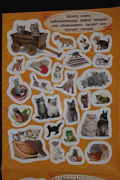 Стикерляндия. Котята - фото 5