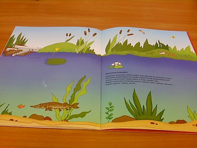 Где живет жираф - фото 5