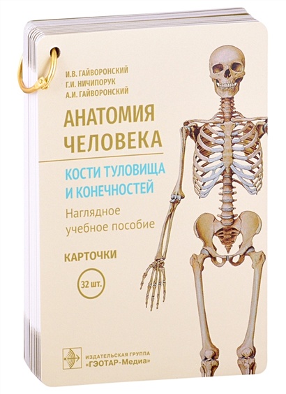 Анатомия человека. Кости туловища и конечностей. Наглядное учебное пособие. Карточки - фото 1