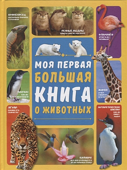 Моя первая большая книга о животных - фото 1
