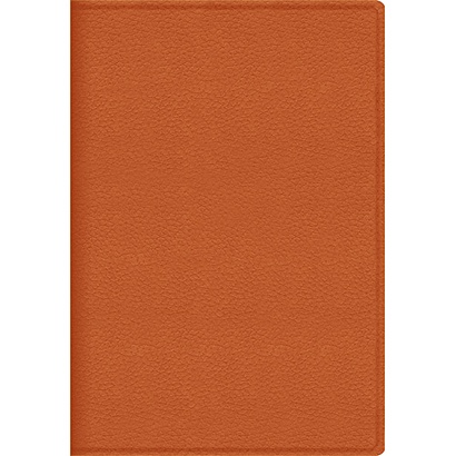 Оранжевый  ZODIAC (15515210) (недатированный А5) ЕЖЕДНЕВНИКИ ИСКУССТВ.КОЖА (CLASSIC) - фото 1
