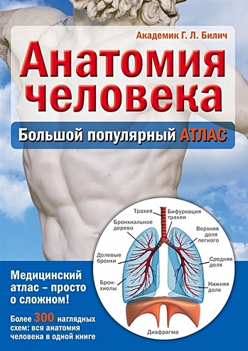 Анатомия человека: большой популярный атлас - фото 1