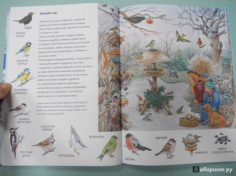 Зима. Находилки-развивалки 2+ - фото 3