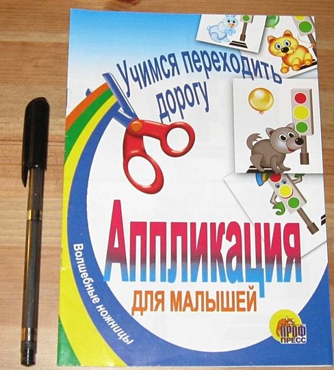 АППЛИКАЦИЯ/УЧИМСЯ ПЕРЕХОДИТЬ ДОРОГУ - фото 2