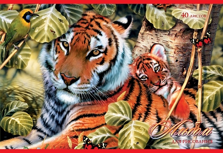 Дикая природа. Тигры АЛЬБОМЫ ДЛЯ РИСОВАНИЯ (*скрепка). 40 листов - фото 1