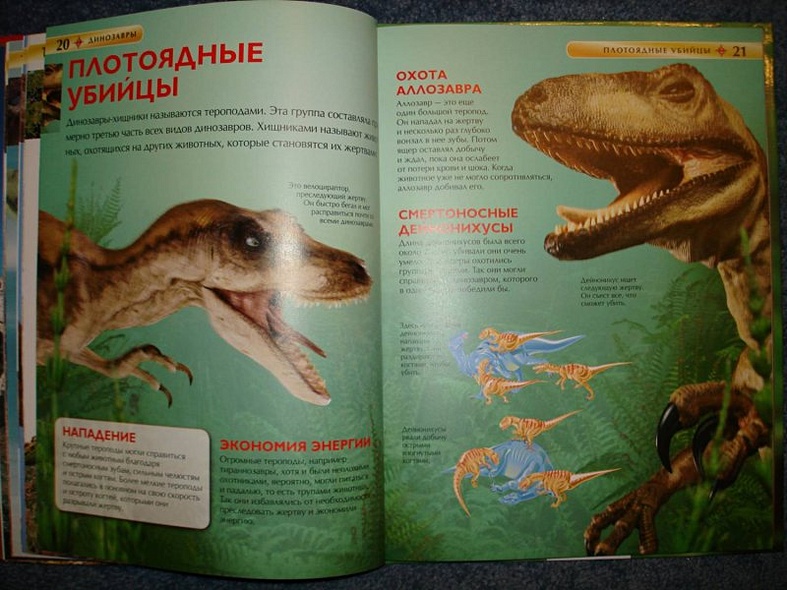 Динозавры - фото 11