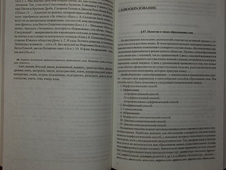 Современный русский язык - фото 11