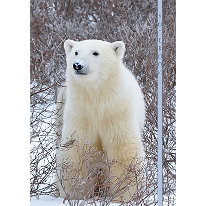Живая планета. Белый медведь КНИГИ ДЛЯ ЗАПИСЕЙ А6 (7БЦ) - фото 1