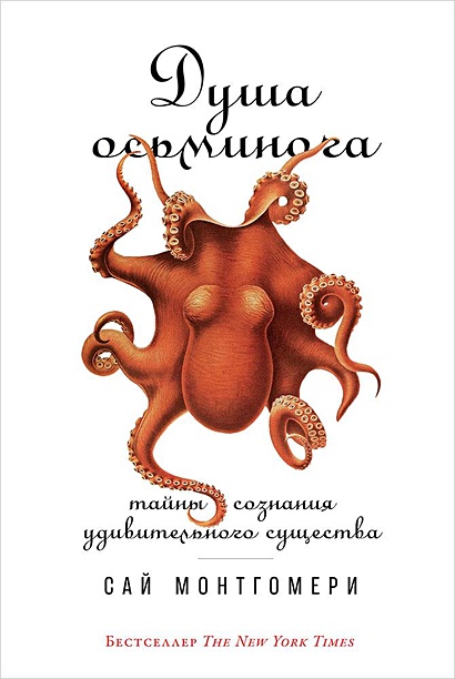 Душа осьминога: Тайны сознания удивительного существа (обложка) - фото 1