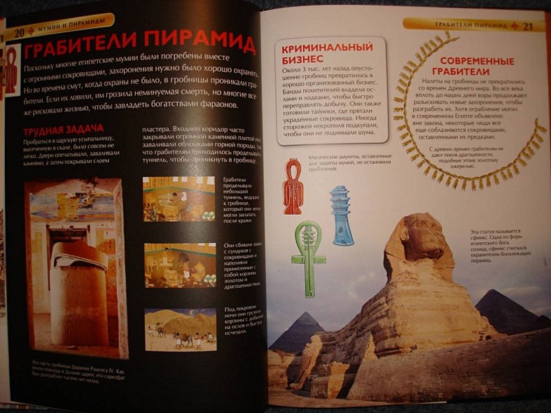 Мумии и пирамиды. - фото 11