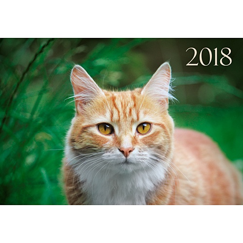 Домашние любимцы. Рыжий кот (однобл. 310х420) ***КАЛЕНДАРИ 2018_ КВАРТАЛЬНЫЕ - фото 1
