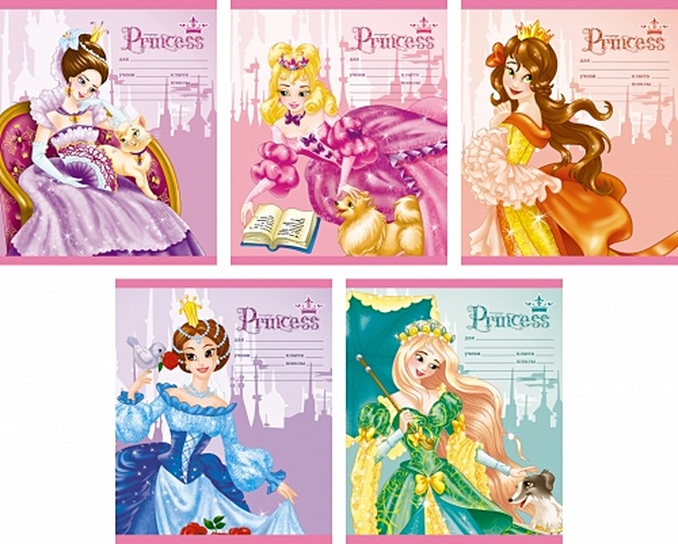 Сказочные принцессы (клетка), 5 видов ТЕТРАДИ А5 (*скрепка) 12Л. Обложка: без отделки - фото 1