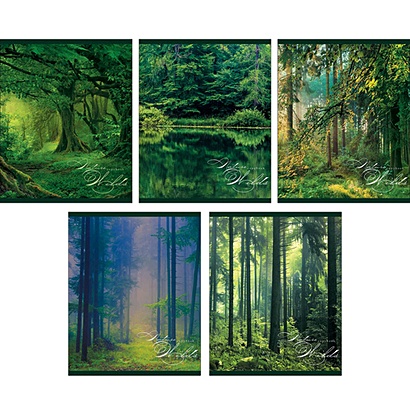 Тетрадь в клетку «Изумрудный лес»‎, А5, 48 листов - фото 1