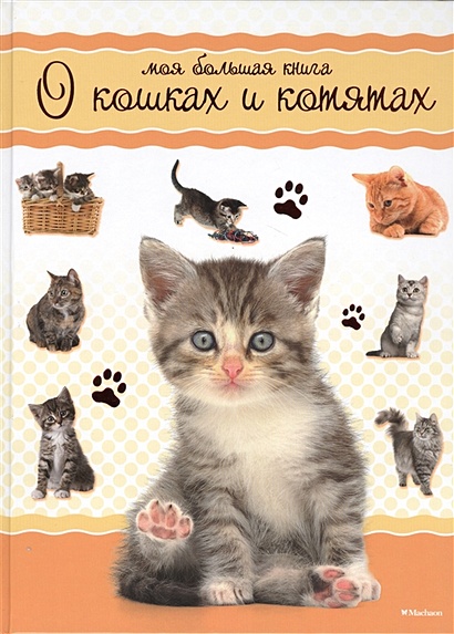 Моя большая книга о кошках и котятах - фото 1