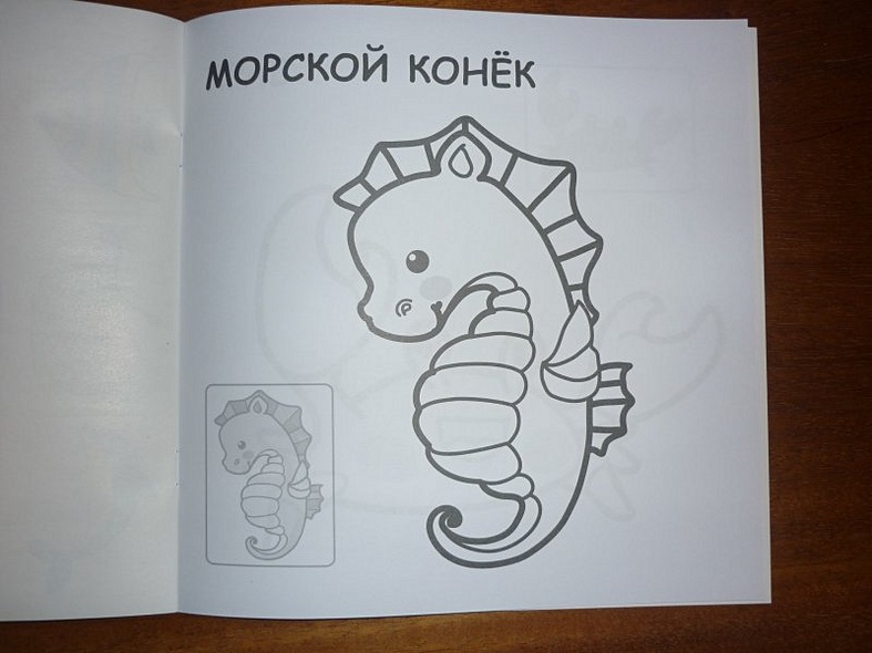 В океане - фото 10