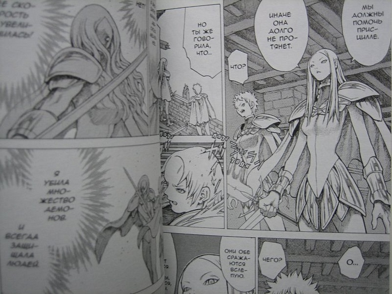 Клеймор. Книга 4. Смертный приговор - фото 13